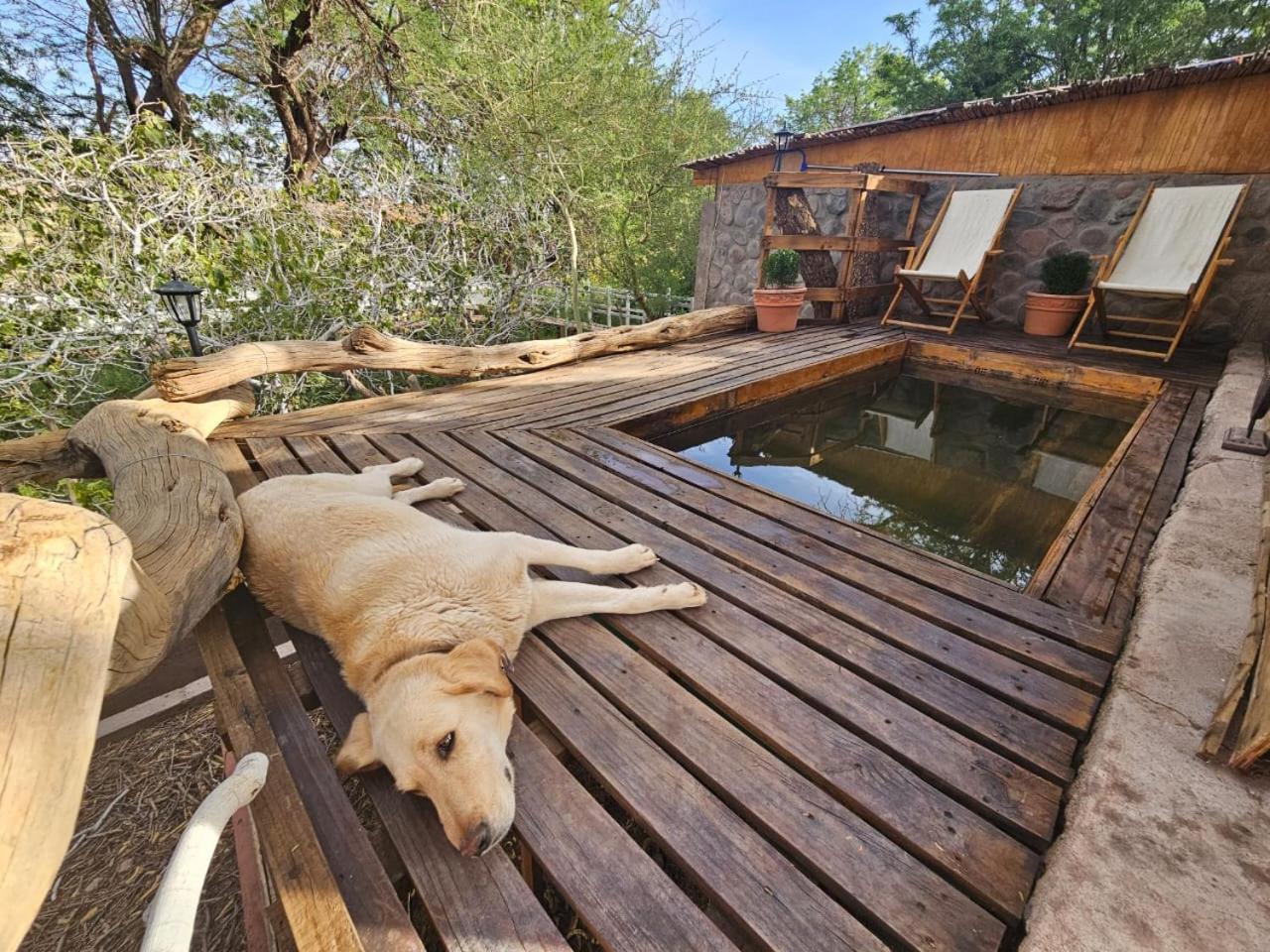 Anka Lodge Quitor San Pedro de Atacama Kültér fotó