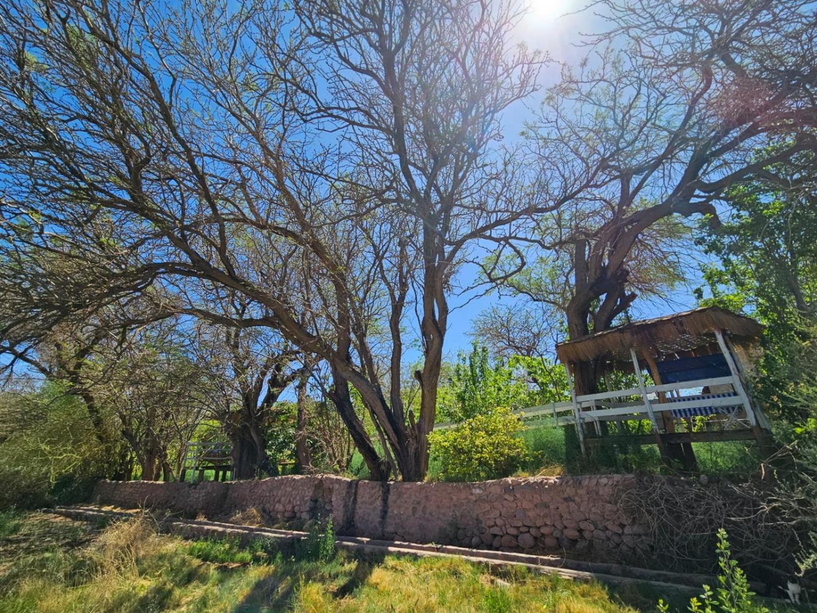 Anka Lodge Quitor San Pedro de Atacama Kültér fotó